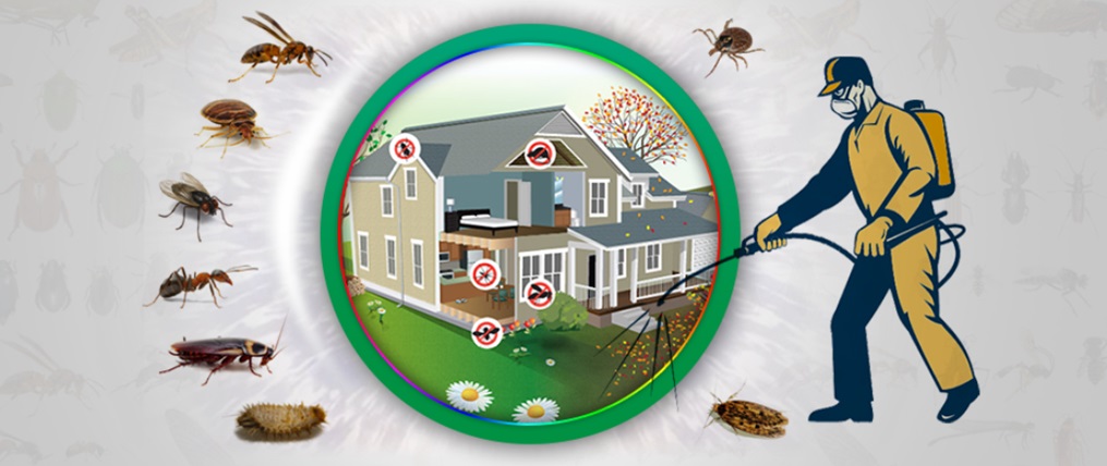 Natural Pest Control