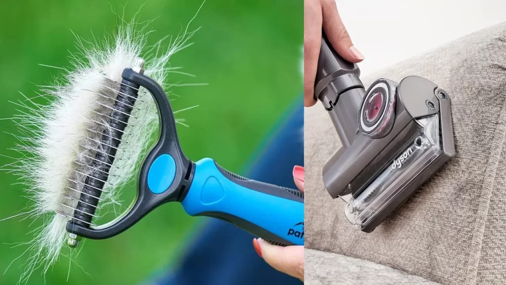 Getting Rid of Pet Hair from Your Carpet – Made Easy