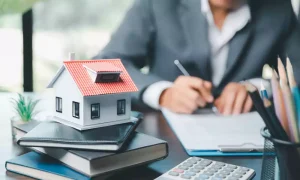 Property Advice
